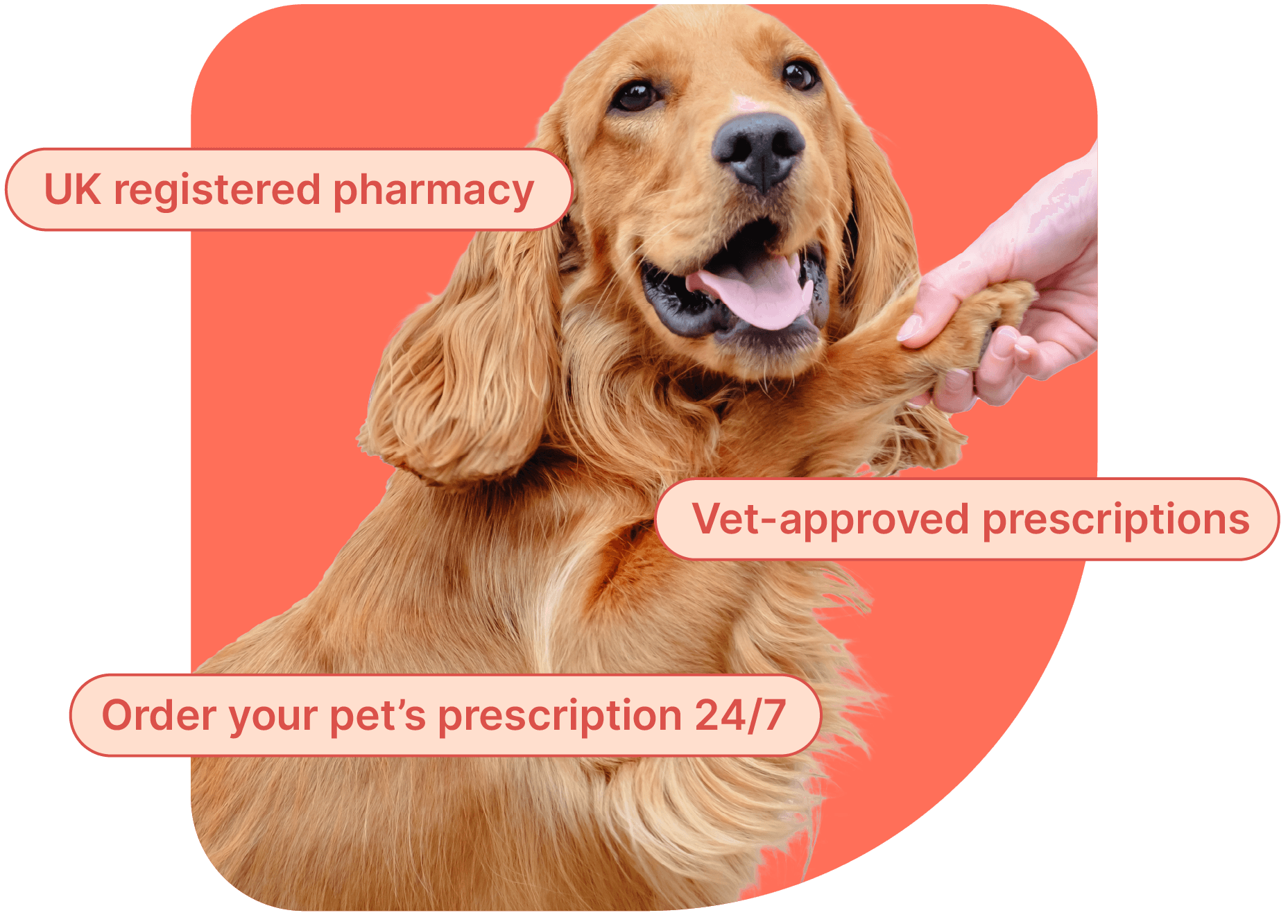 The pharmacy you trust, for the pet you love